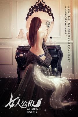 女人公敌 - 现代都市 2013