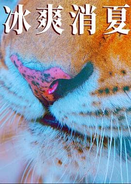 寒冰白血 - 剧情片 (2025) 海报