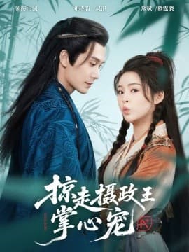 掠走摄政王掌心宠 - 古装仙侠 (2025) 海报