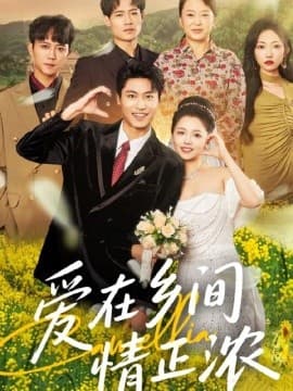 爱在乡间情正浓 - 女频恋爱 (2025) 海报
