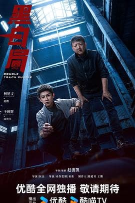 黑白局 - 国产剧 (2025) 海报