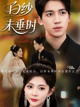 老婆婚礼我当证婚人 - 女频恋爱 (2025) 海报