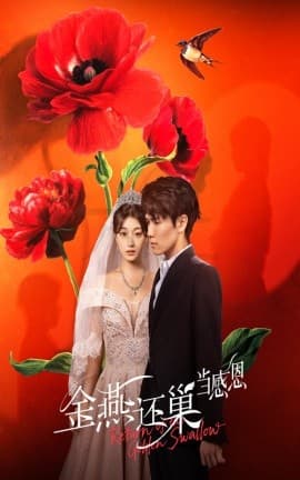 金燕还巢当感恩 - 女频恋爱 0