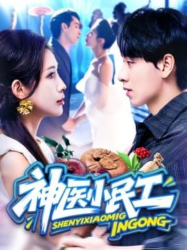 神医小民工 - 现代都市 (0) 海报