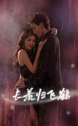 长羡归飞鹤 - 女频恋爱 (0) 海报