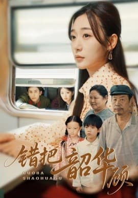 错把韶华顾 - 年代穿越 2025