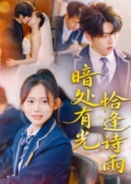 暗处有光恰逢诗雨 - 现代都市 2025