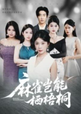 麻雀岂能栖梧桐 - 现代都市 2025