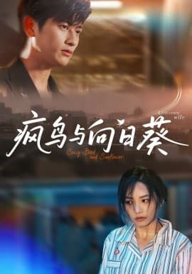 疯鸟与向日葵 - 现代都市 (2025) 海报