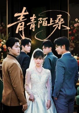 青青陌上桑 - 现代都市 (2025) 海报