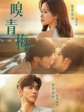 嗅青梅 - 女频恋爱 (2025) 海报