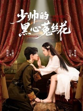 少帅的黑心菟丝花 - 女频恋爱 (2025) 海报