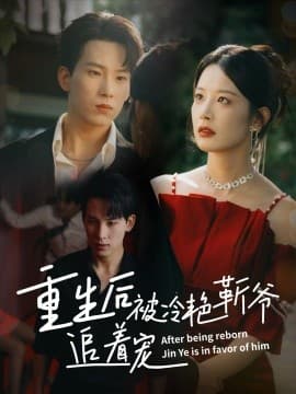 重生后被冷艳靳爷追着宠 - 年代穿越 (2025) 海报