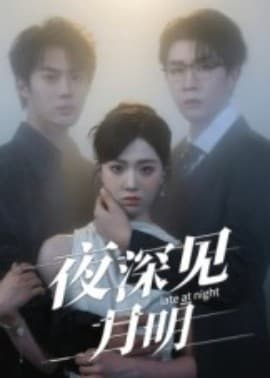 夜深见月明 - 现代都市 (2025) 海报