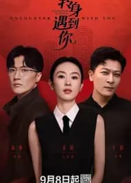 转身遇到你 - 国产剧 2025