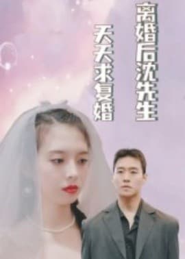 离婚后沈先生天天求复婚 - 女频恋爱 (2025) 海报