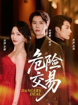 危险交易 - 现代都市 (2025) 海报