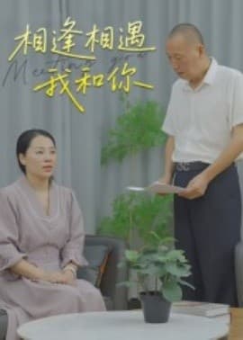 相逢相遇我和你 - 女频恋爱 (2025) 海报
