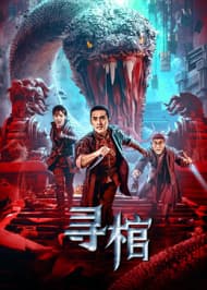 寻棺 - 动作片 (2025) 海报