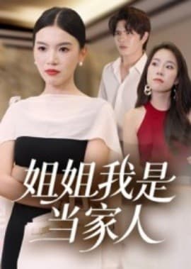 姐姐我是当家人 - 现代都市 (2025) 海报