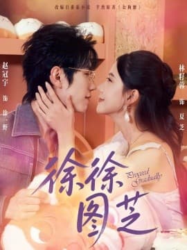 徐徐图芝 - 女频恋爱 (2025) 海报