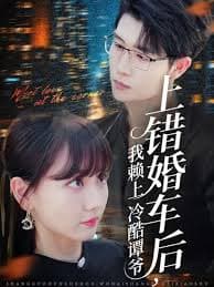上错婚车后我赖上冷酷谭爷 - 现代都市 (2025) 海报