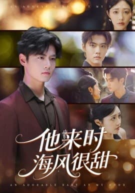 他来时海风很甜 - 现代都市 (2025) 海报