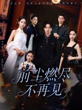 前尘燃尽不再见 - 现代都市 (2025) 海报