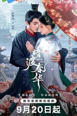 暗渡春华 - 国产剧 (2025) 海报