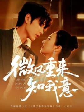 微风重来知我意 - 女频恋爱 (2025) 海报