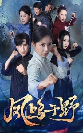 凤鸣于野 - 年代穿越 (2025) 海报