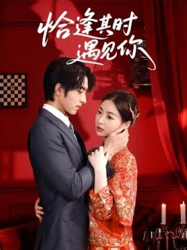 恰逢其时遇见你 - 女频恋爱 (2025) 海报