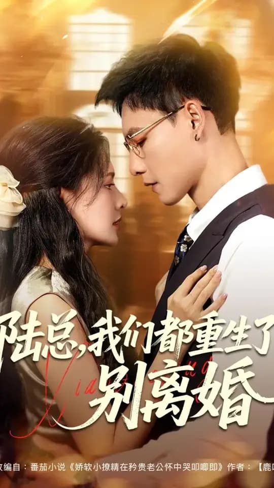陆总我们都重生了别离婚 - 年代穿越 (2025) 海报