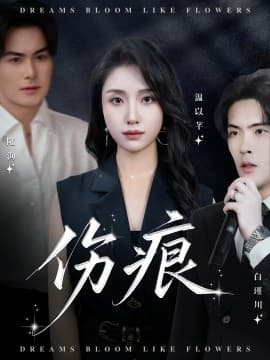 伤痕短剧版 - 现代都市 (2025) 海报