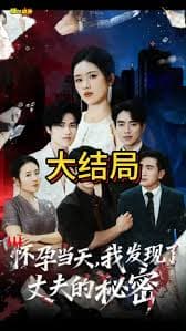 怀孕当天我发现了丈夫的秘密 - 现代都市 (2025) 海报