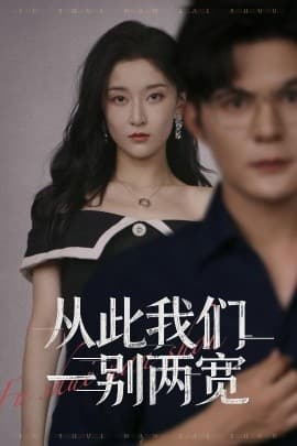 从此我们一别两宽 - 现代都市 (2025) 海报