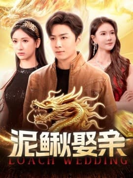 泥鳅娶亲 - 女频恋爱 (2025) 海报