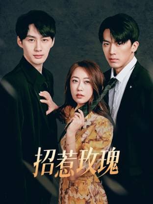招惹玫瑰 - 国产剧 2025