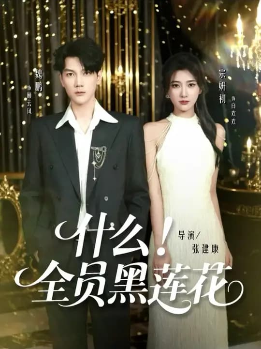 什么全员黑莲花 - 女频恋爱 (2025) 海报