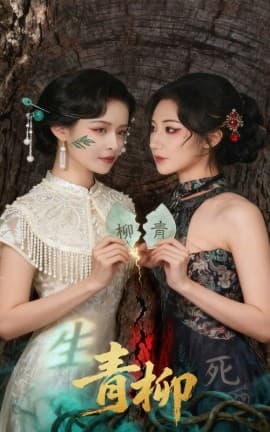 青柳短剧版 - 年代穿越 (2025) 海报