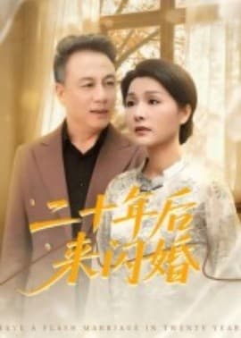 二十年后来闪婚 - 现代都市 (2025) 海报
