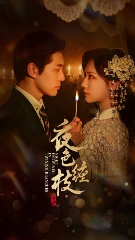 夜色缠枝 - 女频恋爱 (2025) 海报