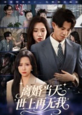 离婚当天世上再无我 - 女频恋爱 (2025) 海报