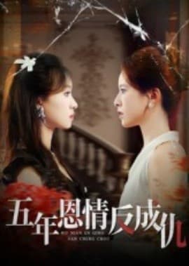 五年恩情反成仇 - 现代都市 2025