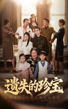 遗失的珍宝 - 现代都市 2025