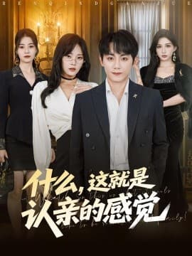 什么，这就是认亲的感觉 - 现代都市 (2025) 海报