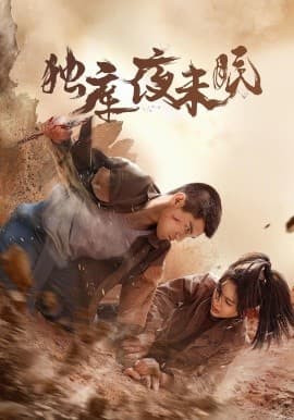 独库夜未眠 - 年代穿越 (2025) 海报