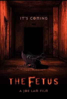 胎儿 - 恐怖片 (2025) 海报