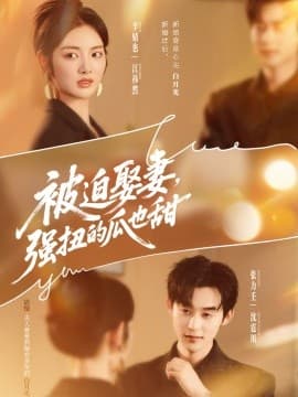 被迫娶妻，强扭的瓜也甜 - 反转爽剧 (2025) 海报