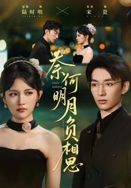 奈何明月负相思 - 女频恋爱 (2025) 海报